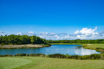 Fototapeta premium lake and forest