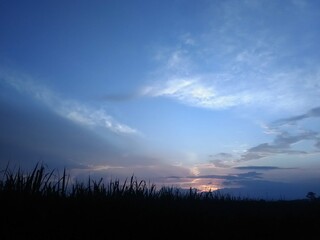 sunset over the field