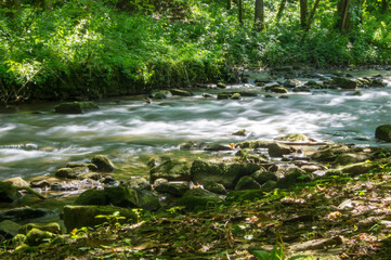 Obraz premium Die Würm