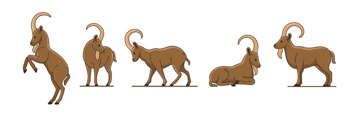 Ibex illustration. Different pose of animal. Vector illustration for emblem, badge, insignia.