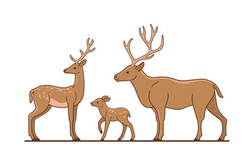 Deer, stag and fawn.  Flat line vector illustration.