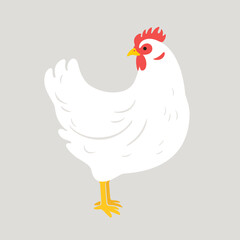 Illustration of chicken. Contour vector illustration.
