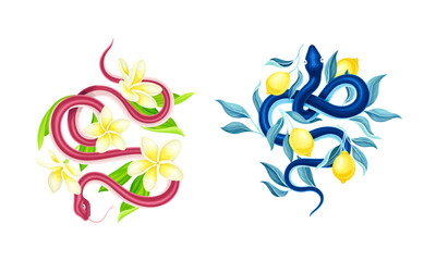Graceful Snakes Coiled Around Beautiful Blooming Plumeria and Lemon Fruit Twigs Vector Set