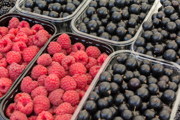 red raspberries and other black berries lie in plastic containers