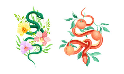 Graceful Snakes Coiled Around Beautiful Blooming Orchid and Peach Fruit Twigs Vector Set