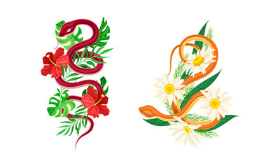 Graceful Snakes Coiled Around Beautiful Blooming Red Hibiscus and Daisy Flower Vector Set
