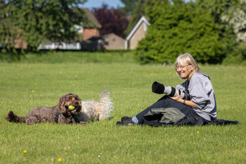 Blonde woman dog photographer sitting down on the grass with camera in hand smiling and looking at brown cockapoo with tennis ball in his mouth at a public park