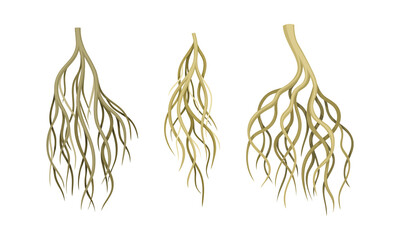 Branching Root as Tree Part Below the Surface of Soil Vector Set - obrazy, fototapety, plakaty