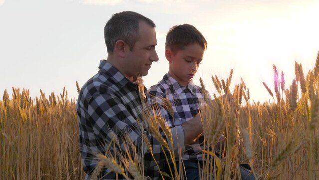 The farmer's father shows the baby to his son. Family business. Father and son. A family of farmers. Grain exports.