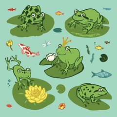 Froggs in the lake, animals vector illustrations set