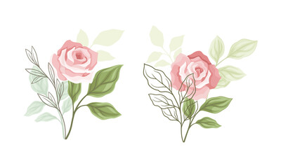 Pink Rose Blossom on Stem with Green Leaf as Garden Flora Vector Set © Happypictures