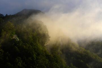 Nebelwolke bei Sonnenuntergang über einem Bergwald, Zurim-Gebirge, Montenegro // Cloud of fog at sunset over a mountain forest, Zurim Mountains, Montenegro