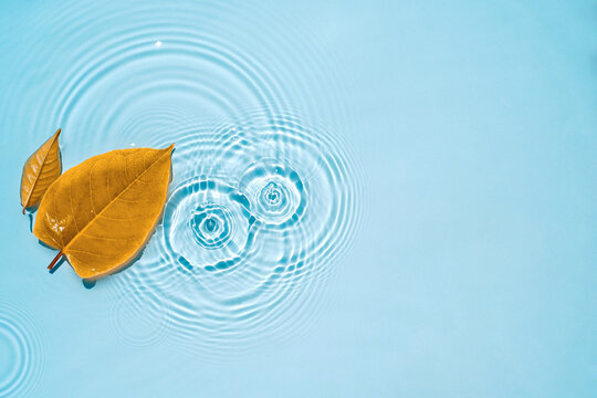Yellow leaves on blue water with circles and ripples from drops, splashes Natural autumn background