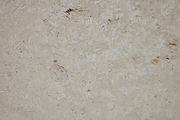 This is a light limestone slab with traces of shells. Shell rock texture. Natural stone background