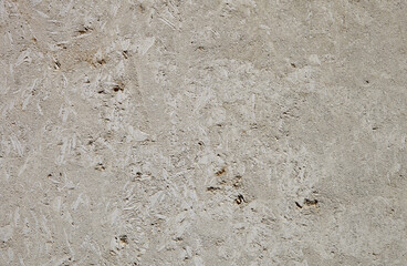 This is a light limestone slab with traces of shells. Shell rock texture. Natural stone background