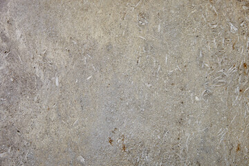 This is a light limestone slab with traces of shells. Shell rock texture. Natural stone background