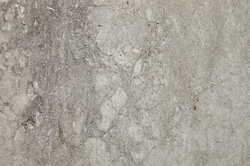 Fototapeta premium This is a slab of light limestone with traces of shells. Shell texture. Natural stone background
