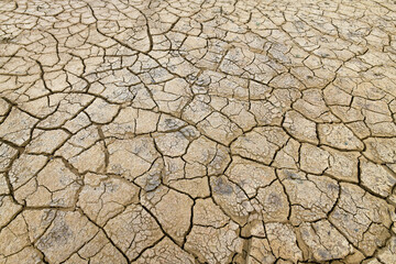 Ausgetrockneter Boden mit Trockenrissen // Parched soil with drying cracks