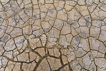 Ausgedörrter Boden  // Parched soil 
