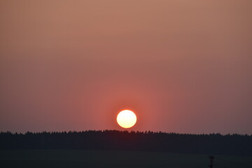 Obraz premium The red ball of the sun on the sunset horizon in the evening and the branches of trees.