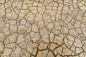 Ausgedörrter Boden mit Trockenrissen// Parched soil with drying cracks