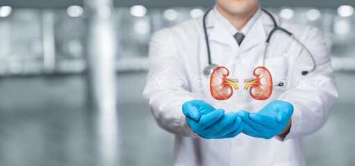 Support and treatment of the patient kidneys.