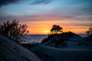 Sunset at the Baltic Sea Beach over dunes. Trees and sand