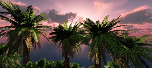 Fototapeta premium Seashore with palm trees at sunset, the light of the sun through the clouds over the water, stones in the sea at sunrise, 3d rendering