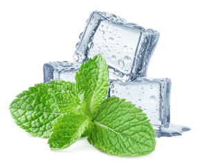 Ice cubes and fresh mint leaves, isolated on white background