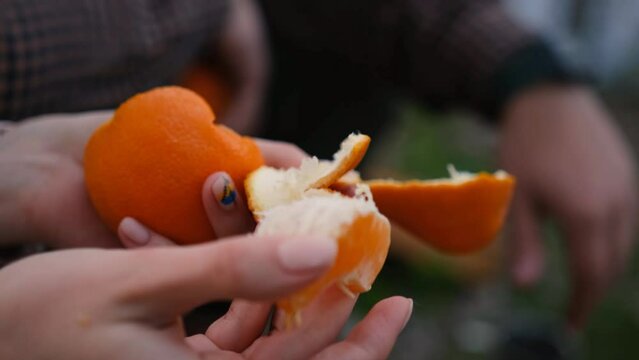 Slow motion 2x woman hand peeling ripe sweet tangerine, close up above the fireplace in the forest at camping and feed the boyfriend.