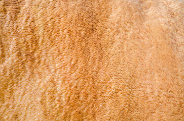 Thin layer Carbonate mineral water covering yellow surface of travertine. Natural background or texture