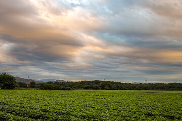 field and blue sky