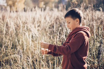 Portrait of happy teenager boy in field of pampas grass. Slow life in countryside. Joyful child...