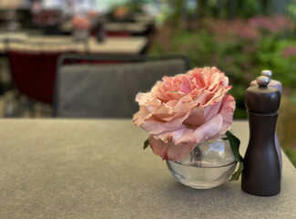 Leerer Tisch in einem Café auf der Terrasse mit Blume in einer Vase, Pfeffer und Salz im Sommer