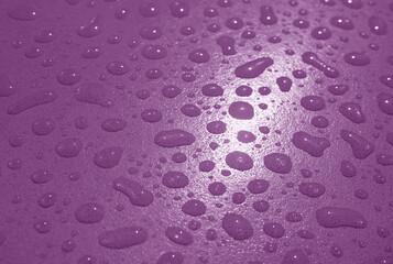 Closeup of water droplets on deep purple colored garden table after the rain
