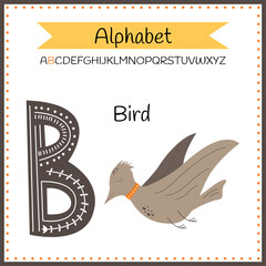 English uppercase alphabet letters on a white background. Letter B. Vector illustration