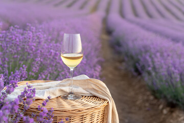 Glass of white wine in a lavender field. Violet flowers on the background.