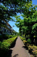 遊歩道　馬堀海岸団地