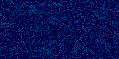 Topographic map background. Geographic abstract patterns grid. The topo blue contour map with stylized height. Mountain trail terrain, terrain path. Vector illustration.