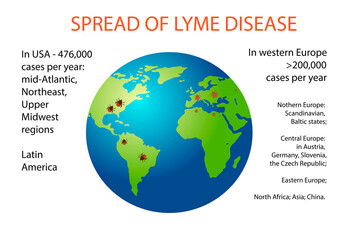 Spread of Lyme disease, vector illustration