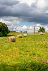 Landscape in the countryside on a summer day. Low cumulus clouds in the sky. In the meadows, grass is cut and hay is rolled into bales for fodder. Tidy environment, preparation for the winter season.