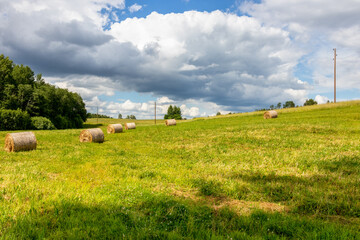 Landscape in the countryside on a summer day. Low cumulus clouds in the sky. In the meadows, grass is cut and hay is rolled into bales for fodder. Tidy environment, preparation for the winter season.