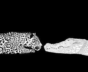 Jaguar versus Crocodile - 517984346