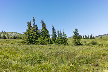 Fototapeta premium Landscape of Vitosha Mountain near Kamen Del peak, Bulgaria