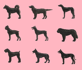 Silhouettes of purebred dogs on a pink background, isolated