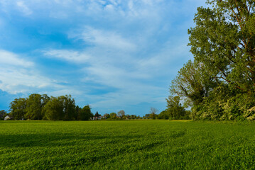 Langenargen am Bodensee