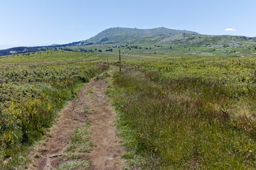 Fototapeta na wymiar Landscape of Vitosha Mountain near Kamen Del peak, Bulgaria