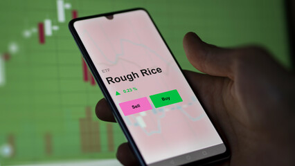 An investor's analizing the rough rice etf fund on a screen. A phone shows the prices of Rough Rice