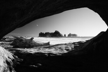James Island seen through a hole in the driftwood, Olympic Peninsula, Washington, USA - 517988114