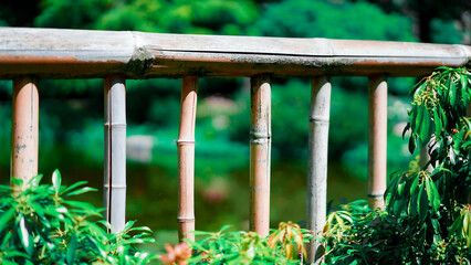 Flowers Close Up in Japanese Garden
